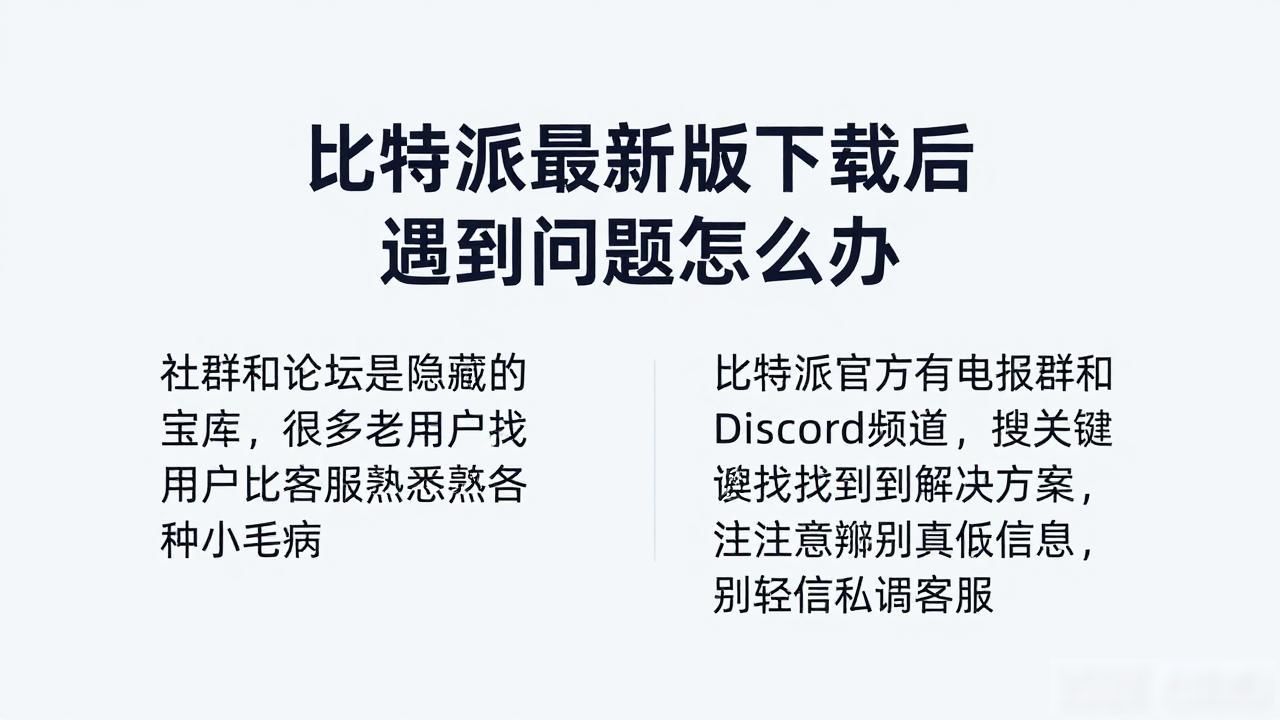 比特派最新版下载后遇到问题怎么办